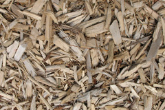biomass boilers Sandsend
